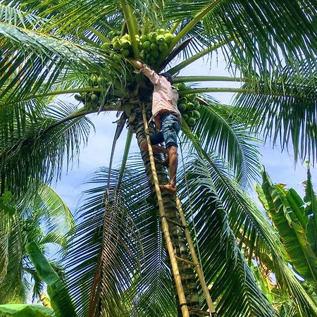 Coco Happy Farm Villa Bến Tre Ngoại thất bức ảnh