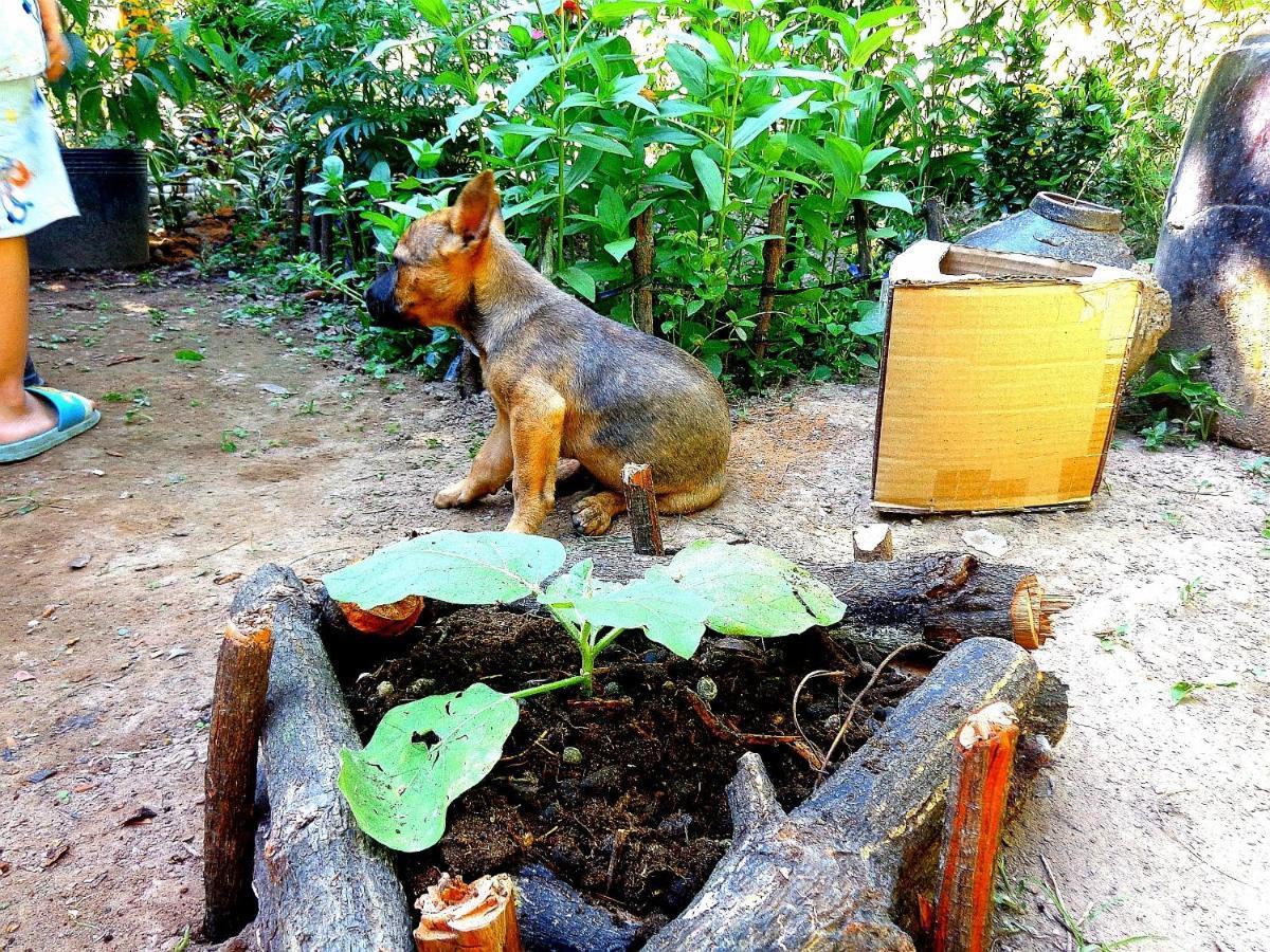 Coco Happy Farm Villa Bến Tre Ngoại thất bức ảnh