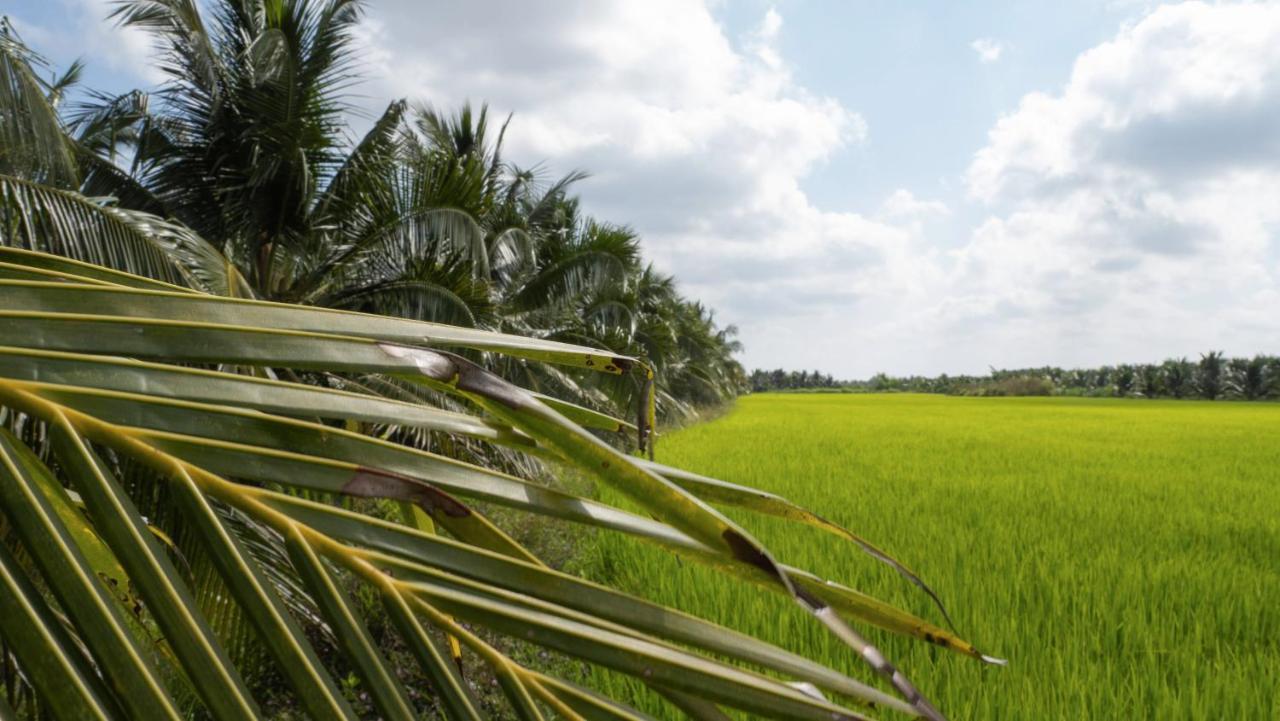 Coco Happy Farm Villa Bến Tre Ngoại thất bức ảnh