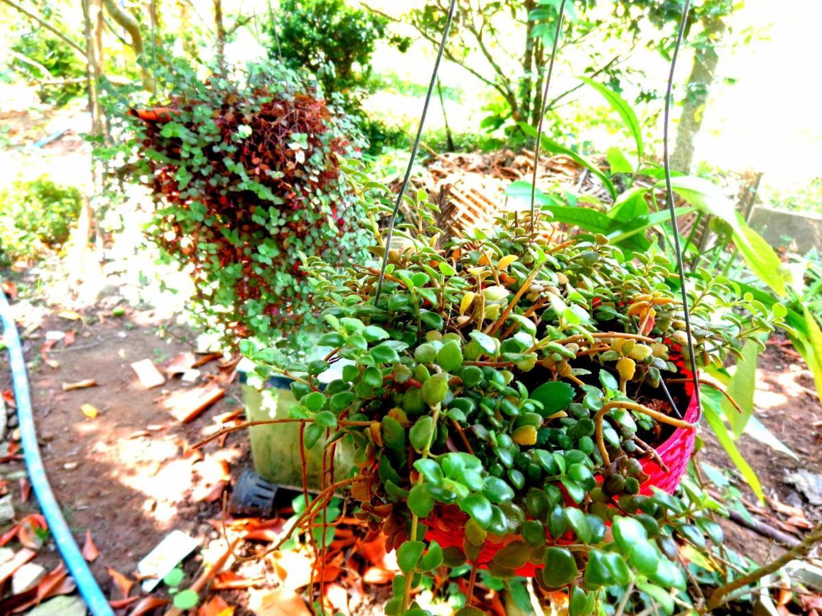 Coco Happy Farm Villa Bến Tre Ngoại thất bức ảnh