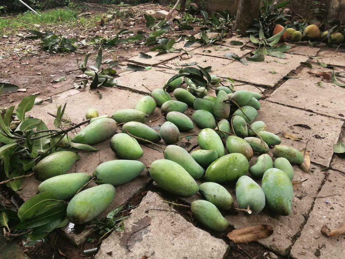 Coco Happy Farm Villa Bến Tre Ngoại thất bức ảnh