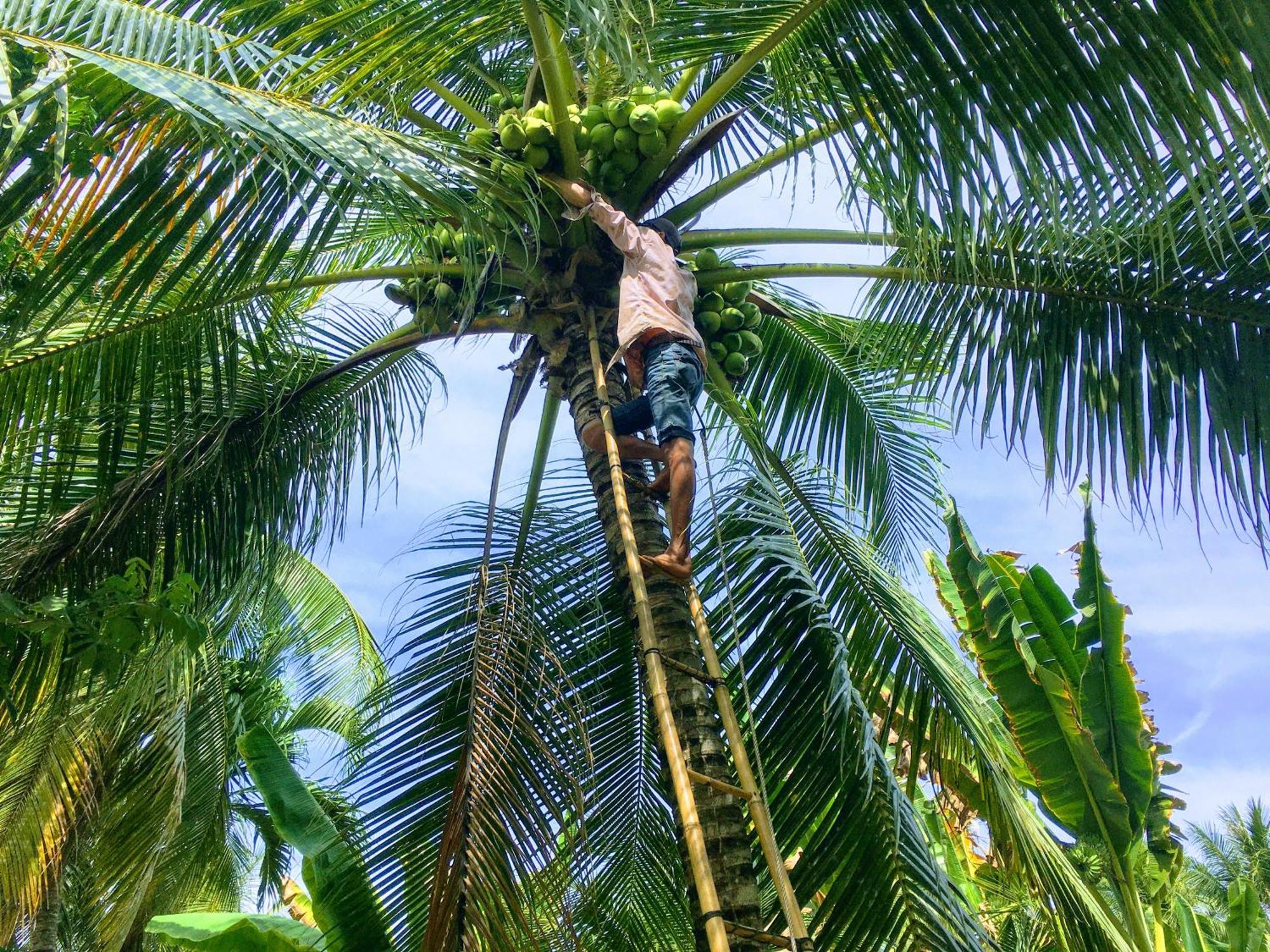 Coco Happy Farm Villa Bến Tre Ngoại thất bức ảnh